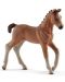 Figurina Schleich Horse Club - Calut hanoverian cu coama impletita - 1t