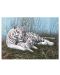 Set de pictură cu vopsele acrilice Royal - Tigri albi, 39 x 30 cm - 1t