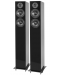 Boxe Pro-Ject - Speaker Box 10, 2 buc, negre - 1t