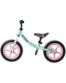 Bicicletă de echilibru Cariboo - Classic, menta/roz - 1t