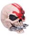 Cutie de depozitare Nemesis Now Music: Five Finger Death Punch - Skull - 3t
