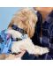 Zgardă pentru câini Loungefly Disney: Lilo & Stitch - Stitch - 4t