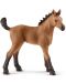 Figurina Schleich Horse Club - Calut Quarter Horse - 1t