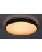 Plafon LED Rabalux - Gandor 71141, IP20, 24W, reglabil, negru mat - 4t