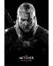 Poster maxi GB eye - The Witcher: Toxicity Poisoning - 1t