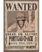 Maxi Poster GB eye Animation: One Piece - Ace Wanted Poster - 1t