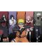 Maxi poster GB Eye Animation: Naruto Shippuden - Group - 1t
