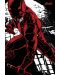 Poster maxi Pyramid - Daredevil TV Series (Fight) - 1t