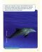 Macmillan Children's Readers: Sharks&Dolphins (ниво level 6) - 5t
