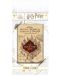 Magnet Pyramid Movies: Harry Potter - The Marauders Map - 2t
