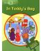 Macmillan English Explorers: In Teddy's Bag (ниво Little Explorer's A) - 1t