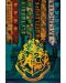 Poster maxi GB Eye Harry Potter - House Flags - 1t