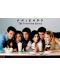 Figura de acțiune GB eye Television: Friends - Milkshake - 1t