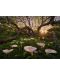 Puzzle Heye de 1000 piese - Calla Clearing - 2t
