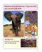 Macmillan Children's Readers: Elephants (ниво level 4) - 5t