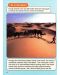 Macmillan Children's Readers: Life in Desert (ниво level 6) - 8t