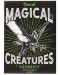 Magnet Half Moon Bay Movies: Harry Potter - Magical Creatures - 1t