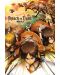 Poster maxi GB eye Animation: Attack on Titan - Attack - 1t