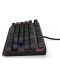 Endorfy Tastatură mecanică - Thock TKL, roșu, RGB, negru - 7t