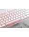 Tastatură mecanică Ducky - One 3 Pure White, Clear, RGB, alb - 2t