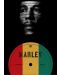 Poster metalic Displate - Marley - 1t