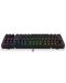 Endorfy Tastatură mecanică - Thock TKL, roșu, RGB, negru - 5t