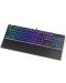Endorfy Tastatură mecanică - Omnis Pudding, maro, RGB, negru - 2t