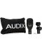 Microfon AUDIX - F2, negru - 2t