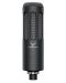 Microfon Beyerdynamic - M 70 Pro X, negru - 1t