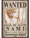 Mini poster GB eye Animation: One Piece - Nami Wanted Poster - 1t