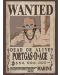 Mini poster GB eye Animation: One Piece - Ace Wanted Poster - 1t