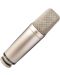 Microfon RODE NT1000 - auriu - 1t
