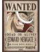 Mini poster GB eye Animation: One Piece - Whitebeard Wanted Poster - 1t
