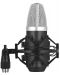 Microfon Stagg - SUM40, negru	 - 2t