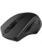 Mouse Canyon - CNE-CMSW15B, optic, wireless, negru - 3t