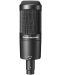 Microfon Audio-Technica - AT2050, negru - 4t