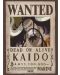 GB eye Animation Mini Poster: One Piece - Kaido Wanted Poster - 1t