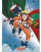 Mini poster ABYstyle Animation: Naruto - Naruto vs Sasuke - 1t