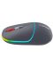 Mouse Canyon - MW-22, optic, wireless, Dark grey - 4t