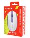 Mouse Canyon - CNE-CMS10WL, optic, White lavender - 5t