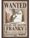 Mini poster GB eye Animation: One Piece - Franky Wanted Poster - 1t