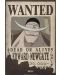 Mini poster  GB eye Animation: One Piece - Wanted Whitebeard	 - 1t