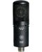 Microfon AUDIX - CX212B, negru - 1t