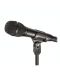Microfon Audio-Technica - AT2010, negru - 2t