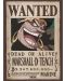 Mini poster GB eye Animation: One Piece - Blackbeard Wanted Poster - 1t