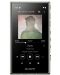 Mp3 player Sony - Walkman NW-A105, 16GB, verde - 1t