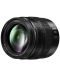Obiectiv foto Panasonic - Lumix G X Vario, 12-35mm, f/2.8 II ASPH - 4t