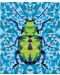 Coloreaza dupa numere Janod - Insecte - 4t