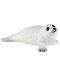 Figurina Papo Marine Life – Micuta foca - 1t