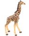 Figurina Papo Wild Animal Kingdom – Pui de girafa  - 3t